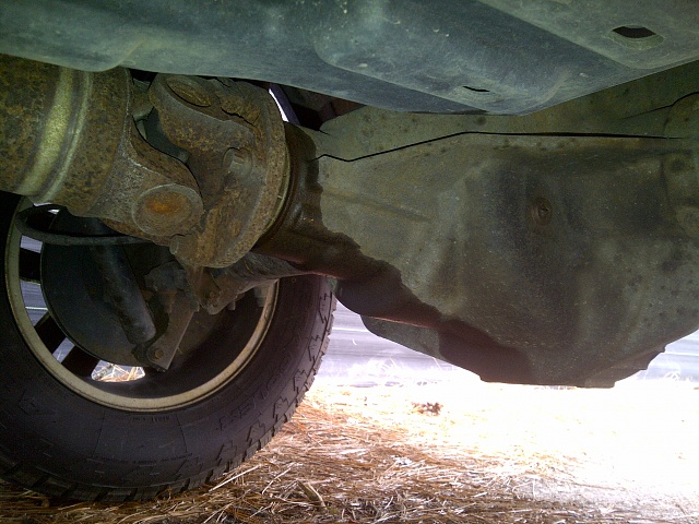 Rear Differential Seal-seal-leak.jpg