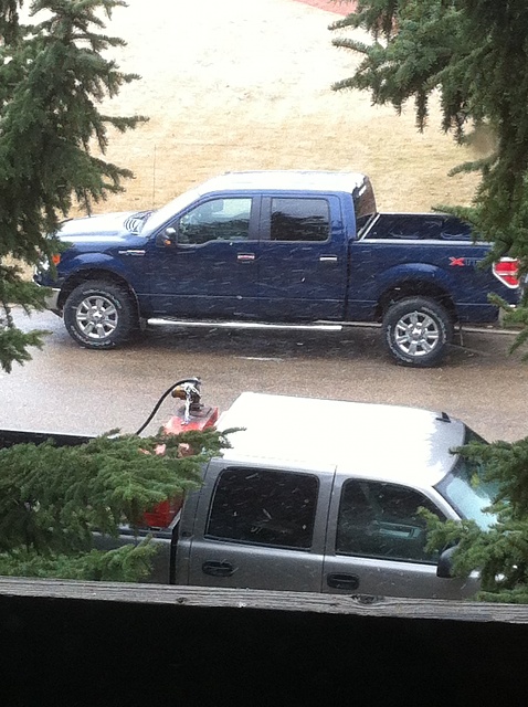 Alberta F-150s!!!!!-img_1857.jpg