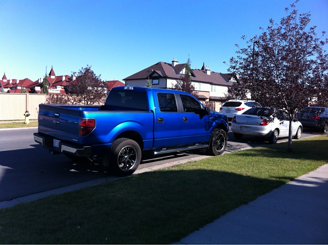 Alberta F-150s!!!!!-image-3749065961.jpg