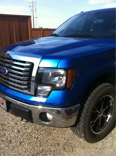 Alberta F-150s!!!!!-image-3123476253.jpg