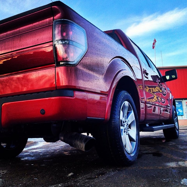 Alberta F-150s!!!!!-taillights.jpg