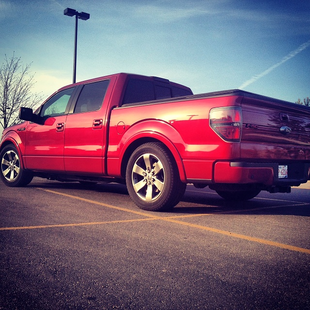 Alberta F-150s!!!!!-lowrear.jpg