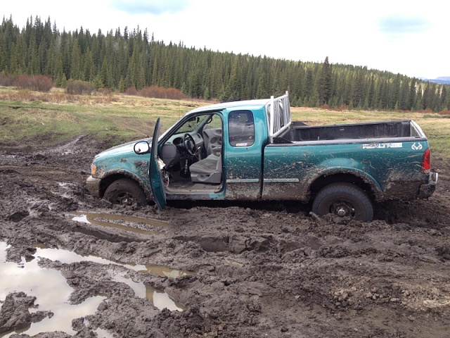 Alberta F-150s!!!!!-image-1360390542.jpg