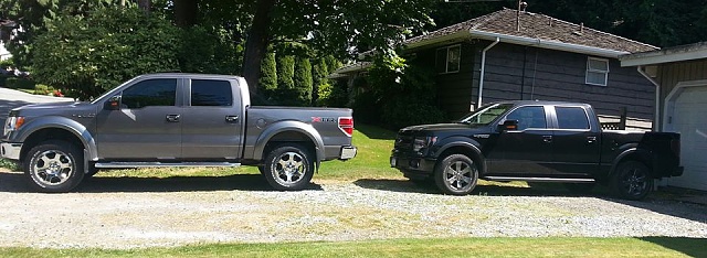 Mud Flaps-f150-pic.jpg