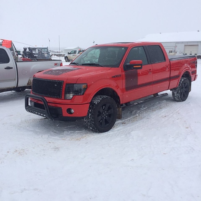 Alberta F-150s!!!!!-7556_10153693309340024_648539273_n.jpg