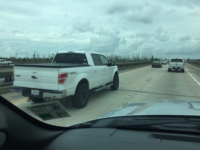 South Louisisana - Spotted A Member-image-1353548722.jpg