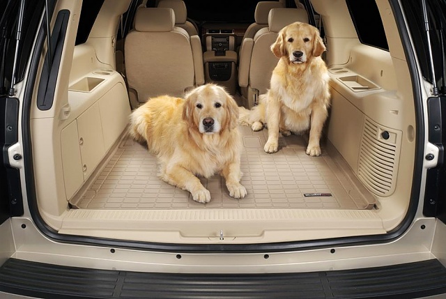 Allweather floor liners for your carpet floors-cargo-liner.jpg