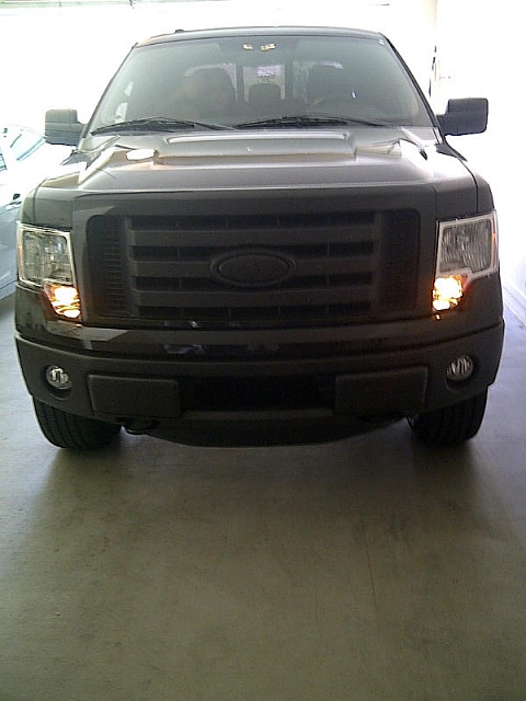 Ford F150 OEM 2009-2012 chrome headlights-headlights-1.jpg