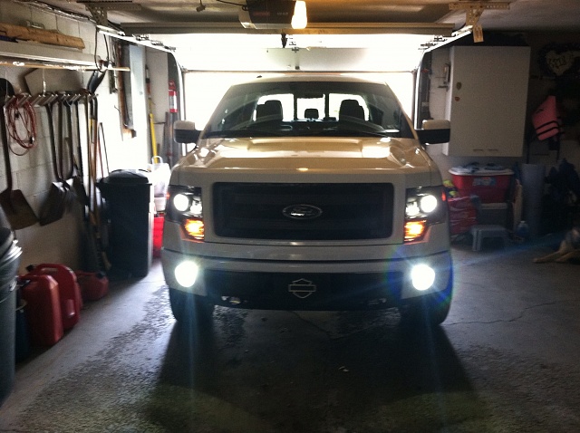 HID and LED-image.jpg
