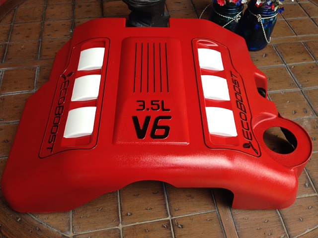 Custom Engine Covers (Vendor)-image-1172431302.jpg