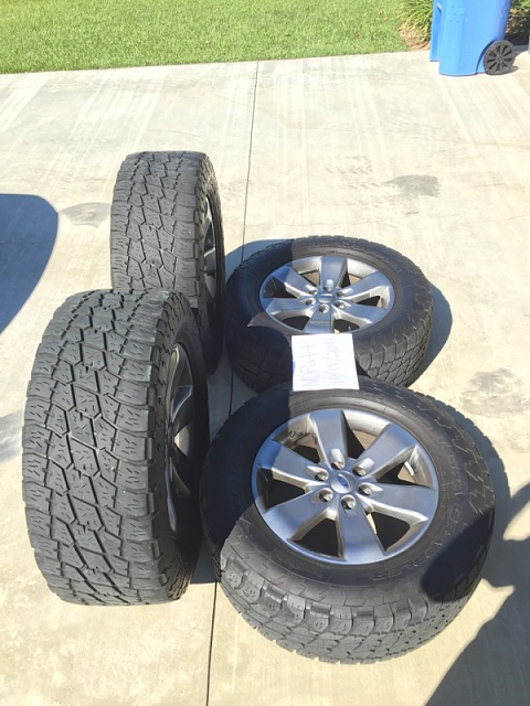 2013 OEM 20 inch rims with 295/60/20 Nitto Terra Grapplers-image-1715240818.jpg
