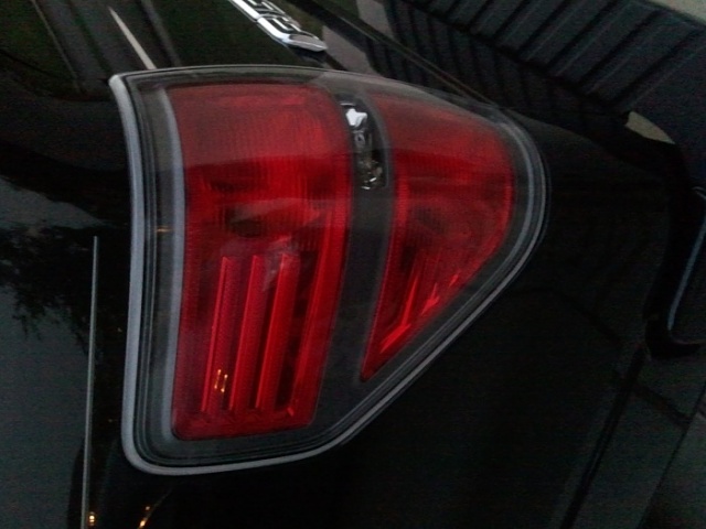 2010 FX2 Taillights (like new, not a scratch, in OEM box and bubble wrapped)-2011-04-26-20.18.10.jpg