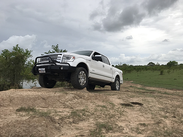 WTT 2013 ranch hand bumper-photo975.jpg