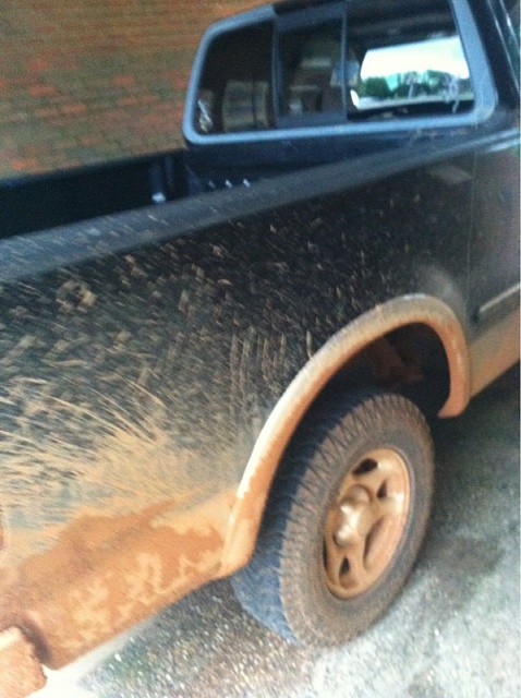 nothing like a good ole mud bath-image-2760154076.jpg