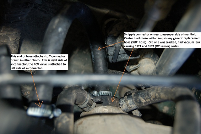 2000 F150 4.2L PCV valve  ***HELP*** Can't Find It-2000-f150-pcv-valve-replacement-hose.jpg