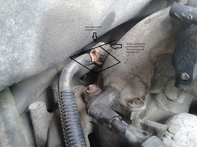 Is this hose supposed to contain coolant?-2013-05-15-15.19.14.jpg