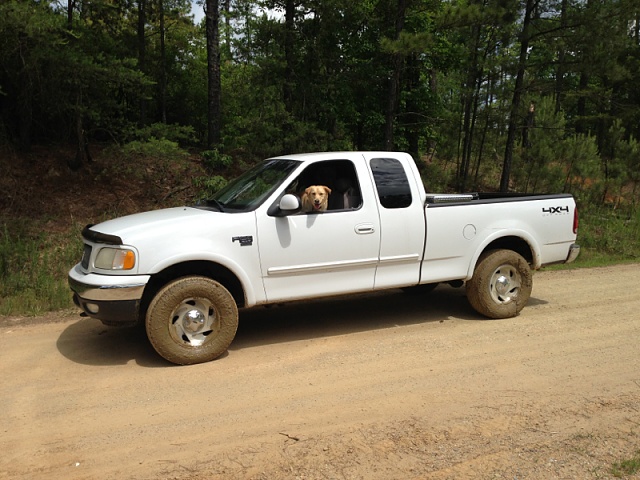 Favorite pic of your truck? 97-03 only-image-3862946906.jpg