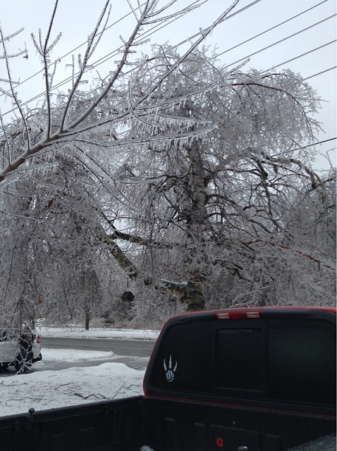 Ice storm 2014-image-2718498604.jpg