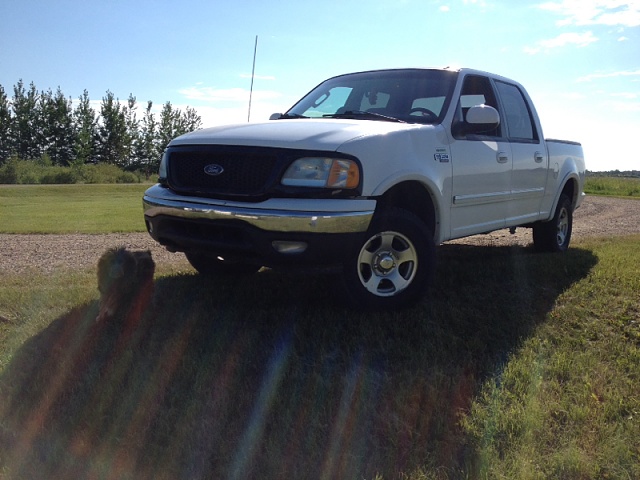 Any one ever mounted a curved 50 inch light bar on their bumper ?-image-1254488236.jpg