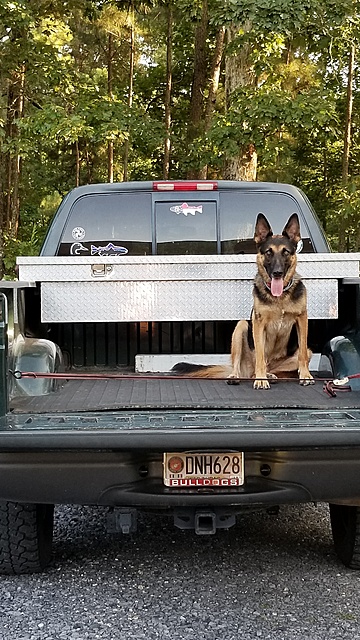 Favorite pic of your truck? 97-03 only-20190724_183833.jpg