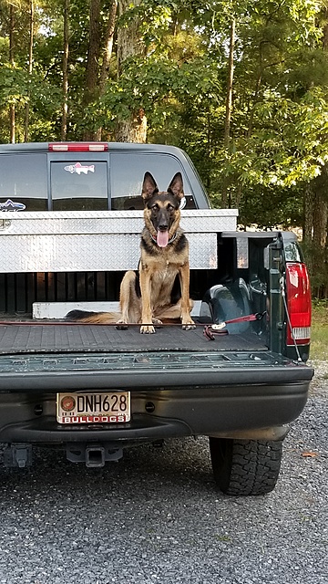 Favorite pic of your truck? 97-03 only-20190724_183836.jpg