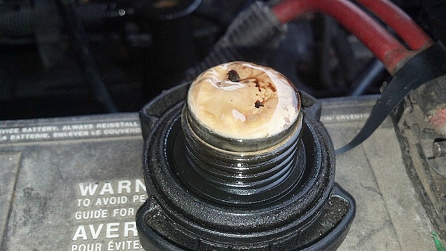 Blown Head Gasket?-6dgawcd.jpg