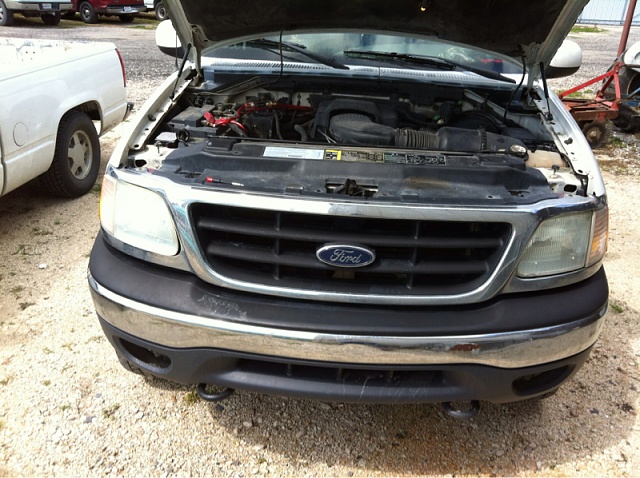 Headlights-image-1731493890.jpg