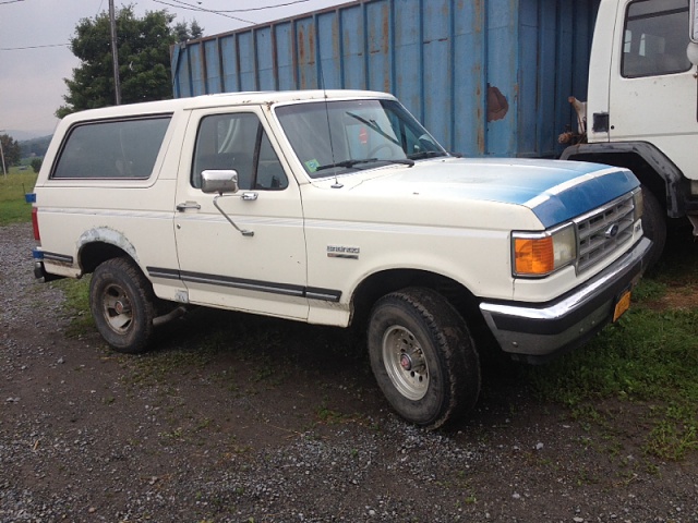 88 ford bronco full size-image-365460278.jpg