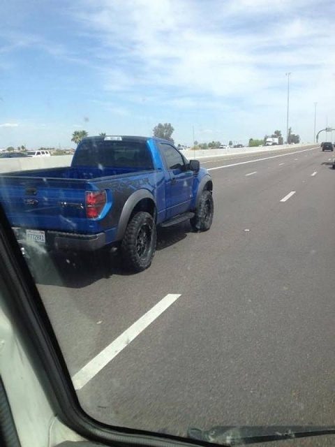 Pic of RCSB Raptor-image-2981023443.jpg