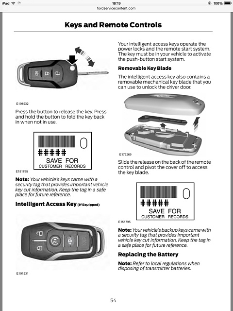 Raptor Key-image-3810256485.jpg