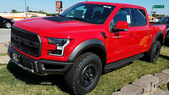 18 Raptor-20170910_153617.jpg-raptor.jpg