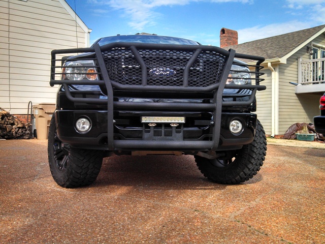 Push bar or brush guard? - Ford F150 Forum - Community of Ford Truck Fans