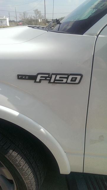 Who would be interested? F150 Emblems-imag0300.jpg