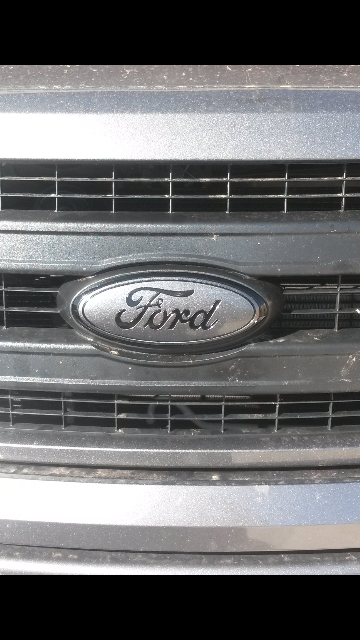 ford logo/emblem-forumrunner_20140408_202030.jpg