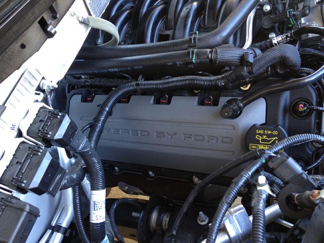 Mustang 5.0 Engine cover onto F-150?-image-178530776.jpg