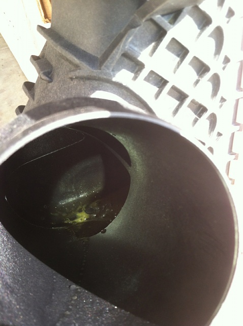 Ecoboost condensate drain hole, post your results here-image-4195273216.jpg