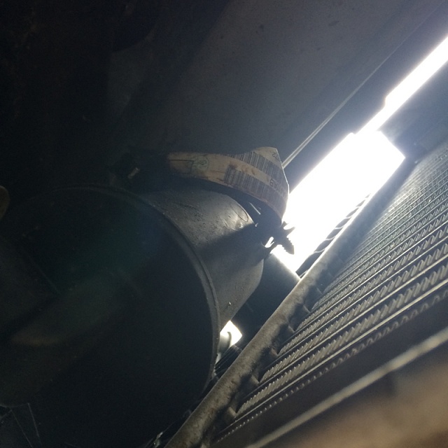 Ecoboost condensate drain hole, post your results here-image-1125657949.jpg
