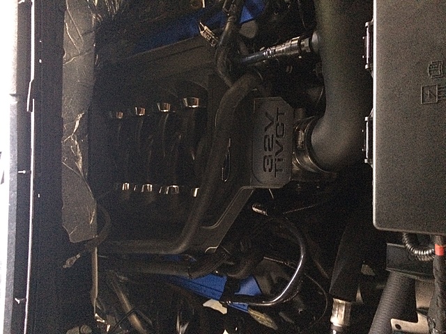 Mustang 5.0 Engine cover onto F-150?-img_1823-2-.jpg