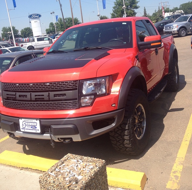 Just Bought A Raptor (AKA the new money pit)-image.jpg