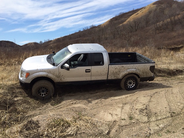 My build, 2011 Scab Ecoboost-image-1072998926.jpg