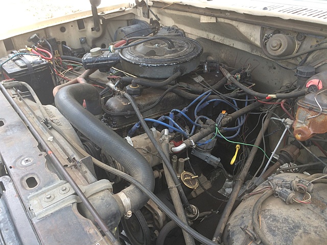 Getting my 84 f150 into shape-thumbnail_img_1864.jpg