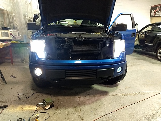MustangAndy's 2014 Blue Flame STX-d59ltnw.jpg
