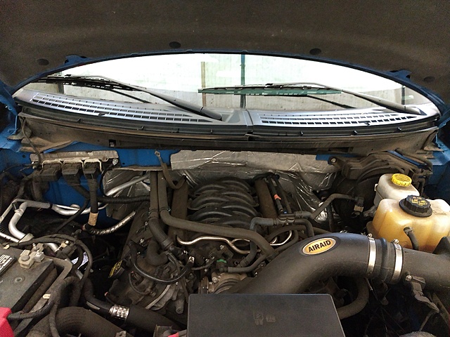 MustangAndy's 2014 Blue Flame STX-jux5dsl.jpg