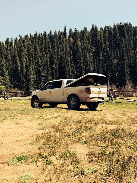using your truck as a truck pics thread-image-1931126625.jpg