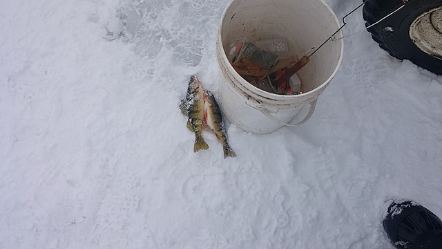 ice fishing plans for tomorrow....-20170128_120507_hdr.jpg