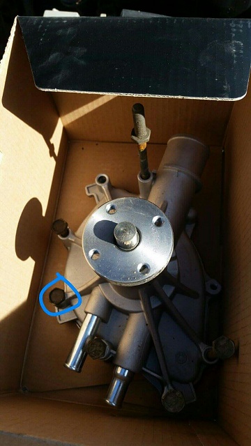 95 302 water pump bolt thread size-received_1228985630447226.jpeg