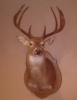 TheHunter's Avatar