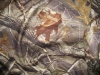 Camo Dude's Avatar