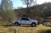 OnlyDrivesFordTrucks's Avatar