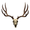 FEARNOBEERFX4's Avatar